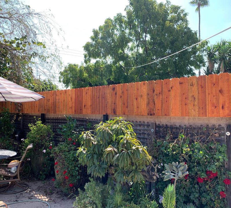 Trellis Fence