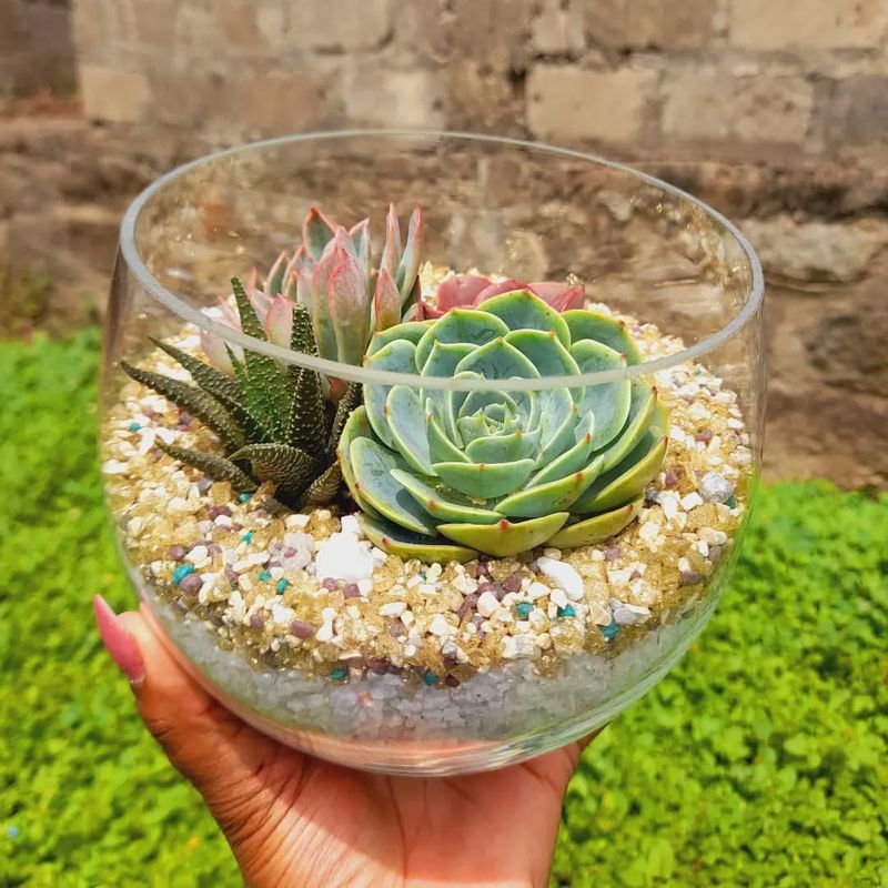 Unique Succulent Terrarium