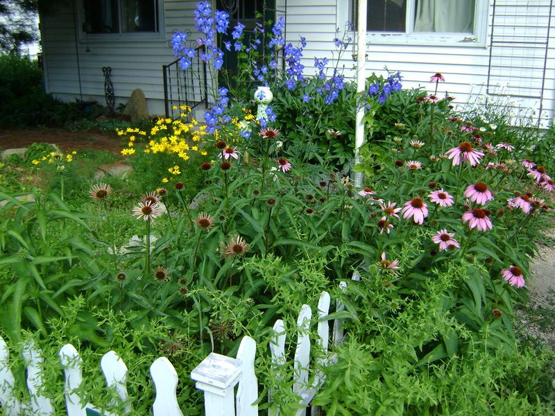 Untamed Wildflower Gardens