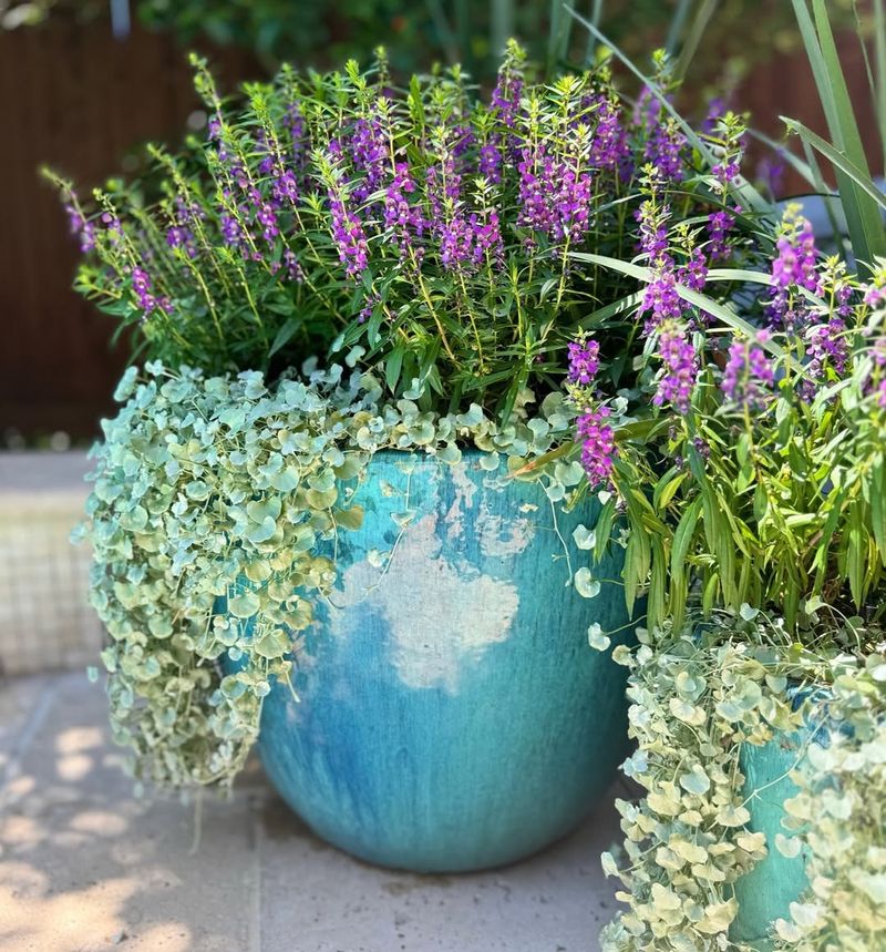 Use Colorful Planters