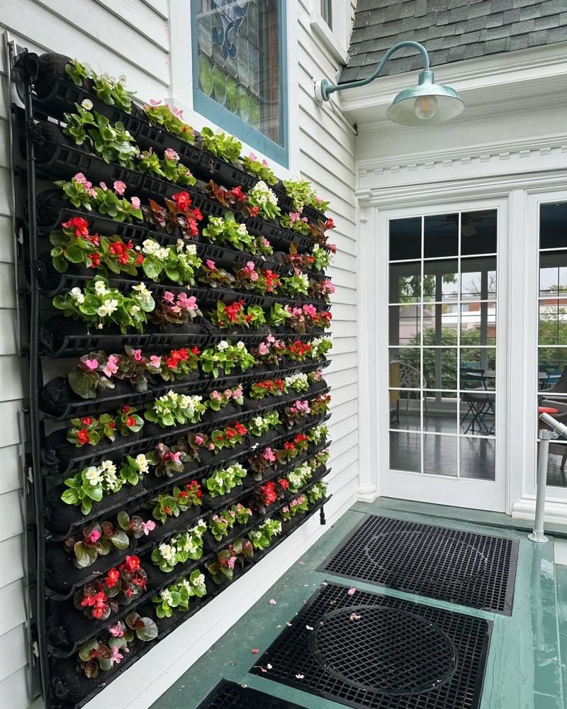 Vertical Garden