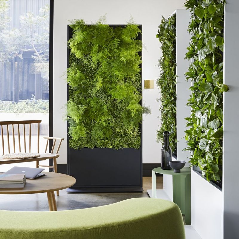 Vertical Gardens