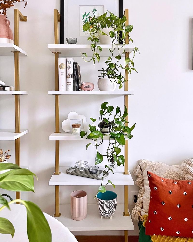 Vertical Wall Shelves