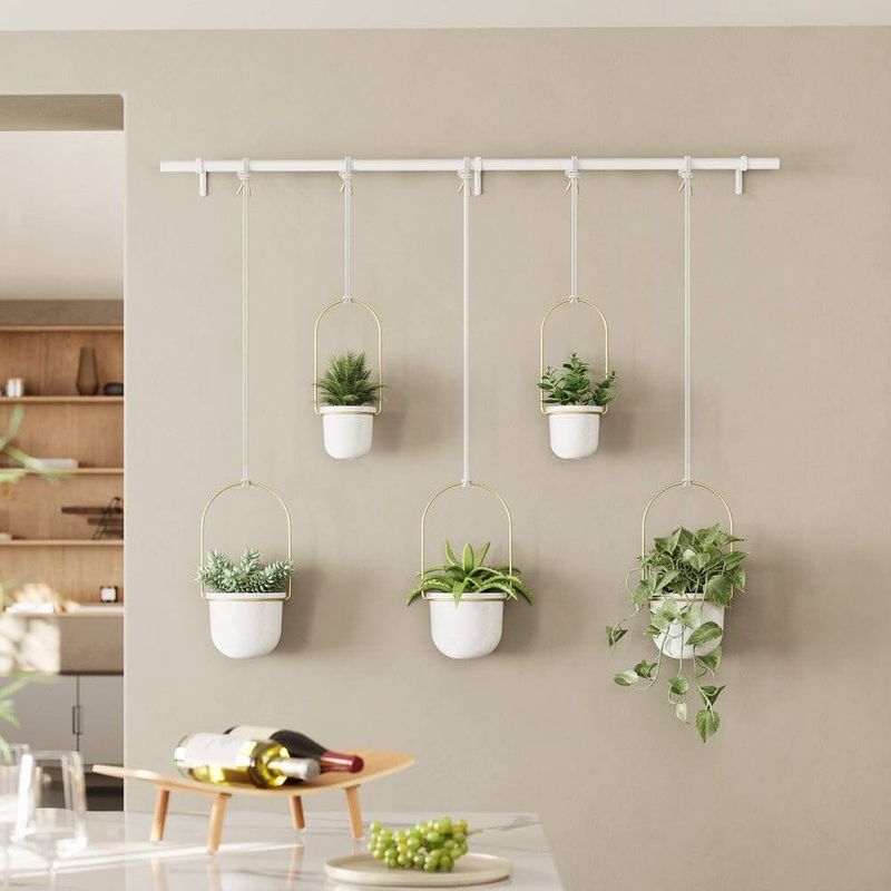 Wall-Mounted Planters