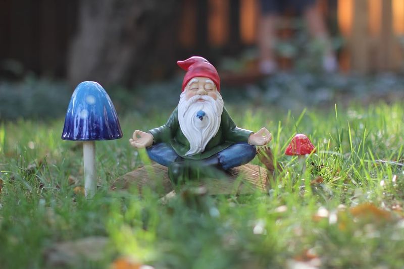 Whimsical Garden Gnomes