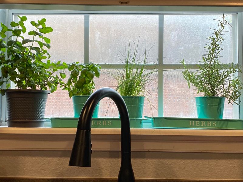 Window Herb Gardens