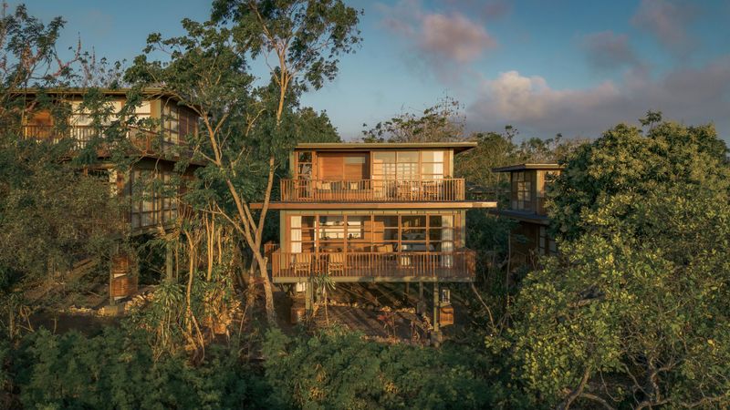 The Treetop Retreat in Bali