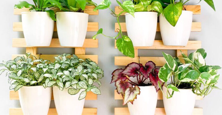 23 Ideas For Decorating Your Walls With Plants