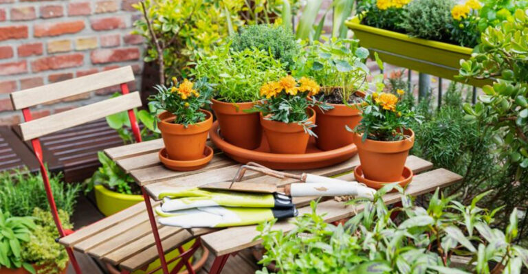 26 Things You Should Never Do When Decorating With Plants, According to Gardeners