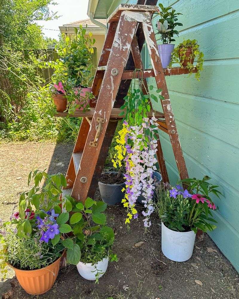 Old Wooden Ladders