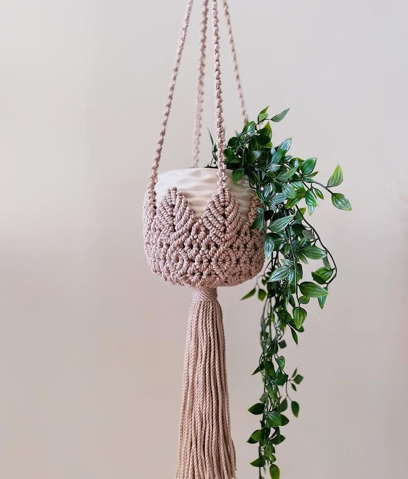 Macramé Plant Hangers