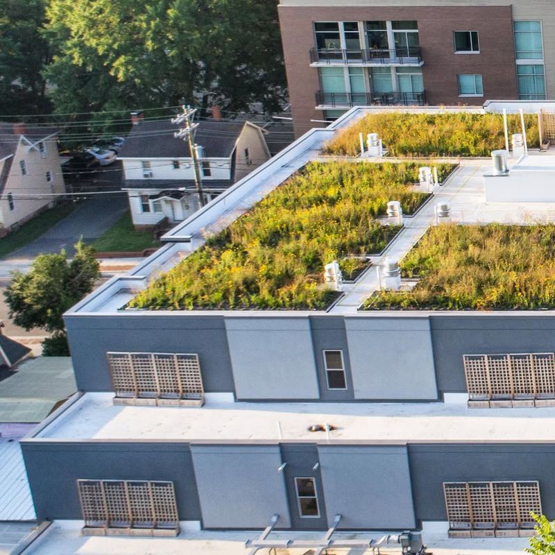 Green Roof with Hidden Irrigation System