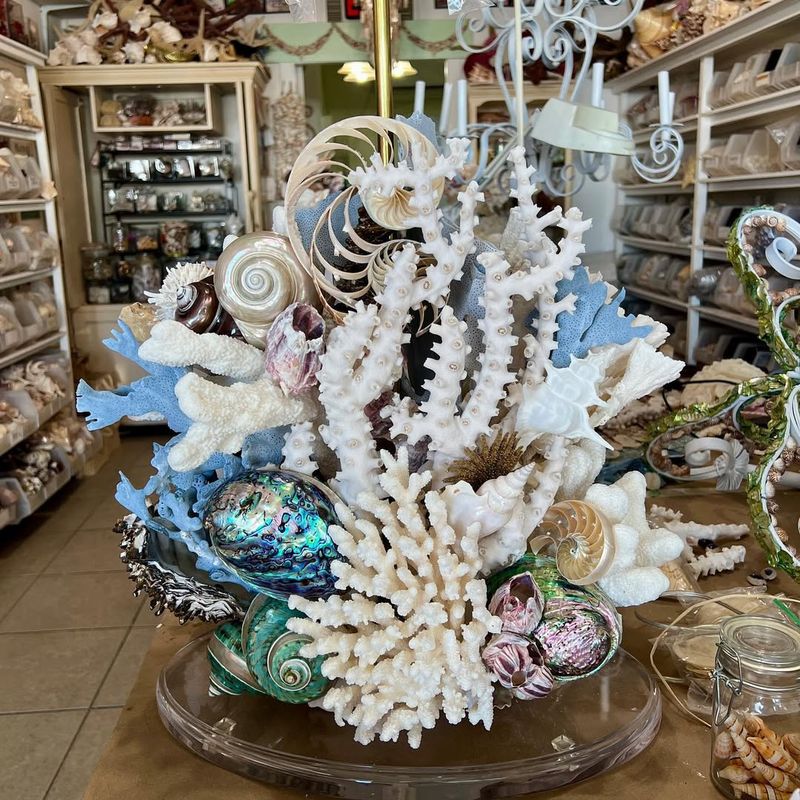 Seashell Decor