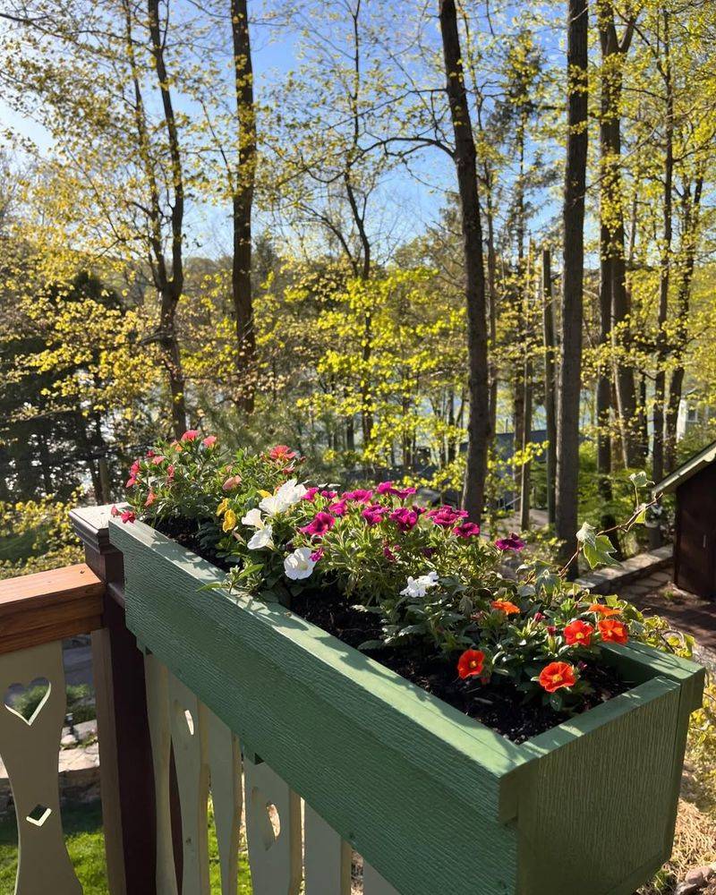 Planter Boxes