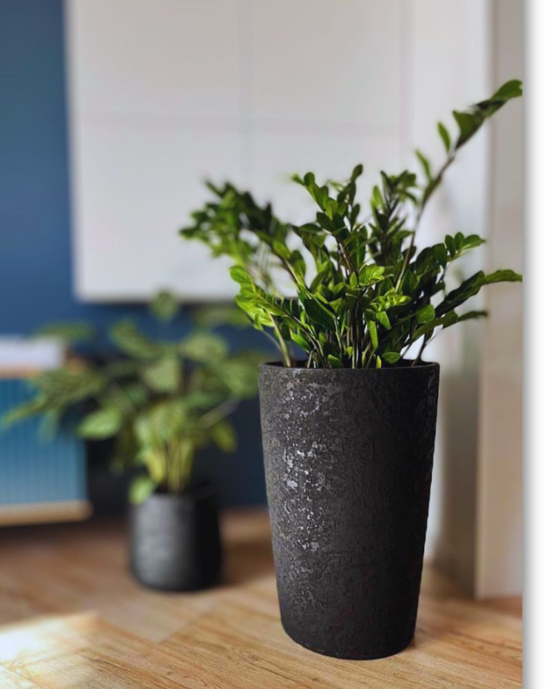 Black Planters and Greenery for Fresh Contrast