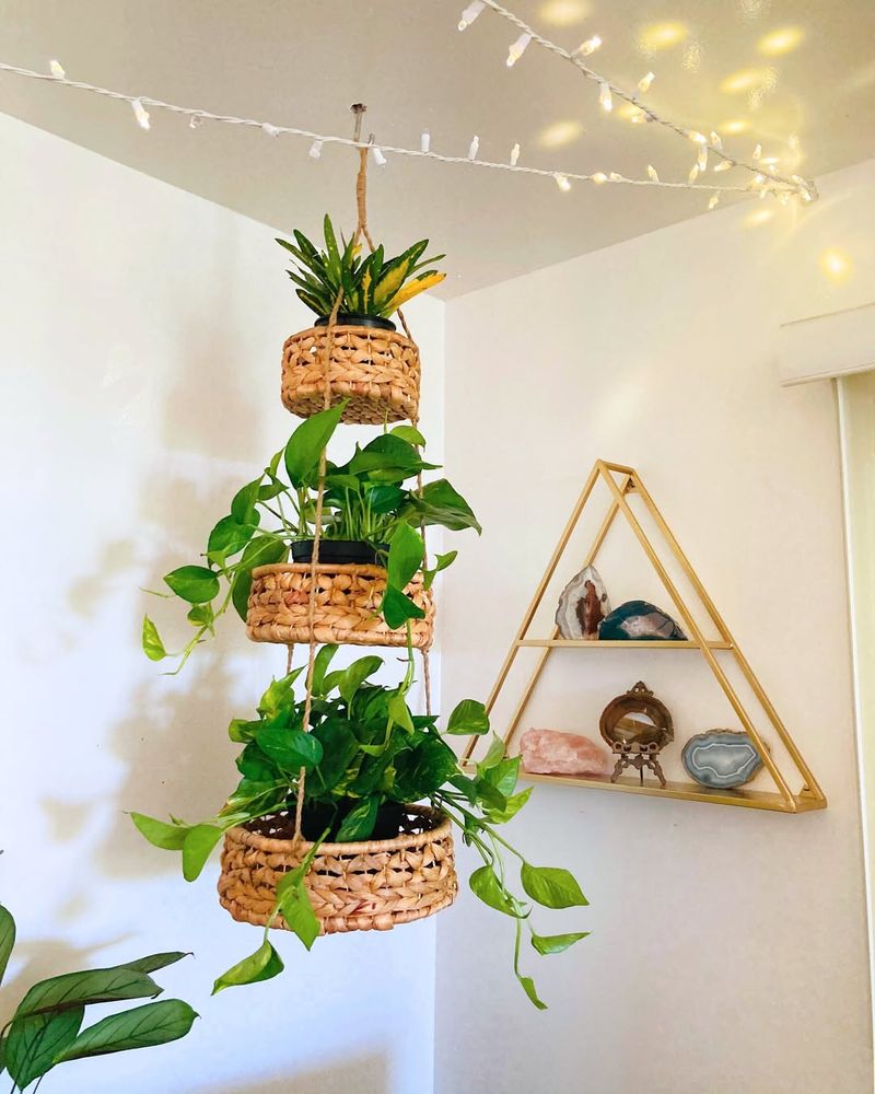 Hanging Planters