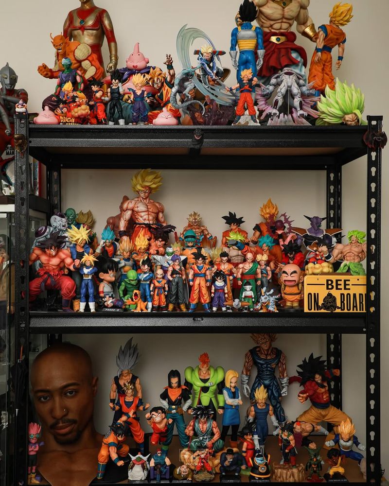 Personal Collection Display