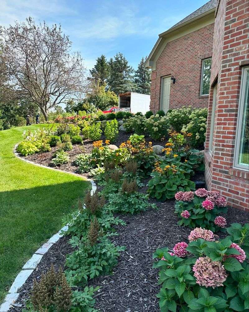 Cottage Garden Plants