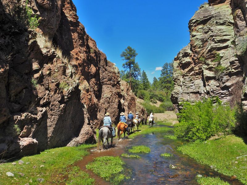 Lincoln National Forest, New Mexico