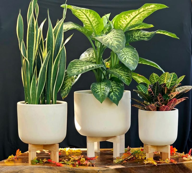 Eco-Friendly Planters