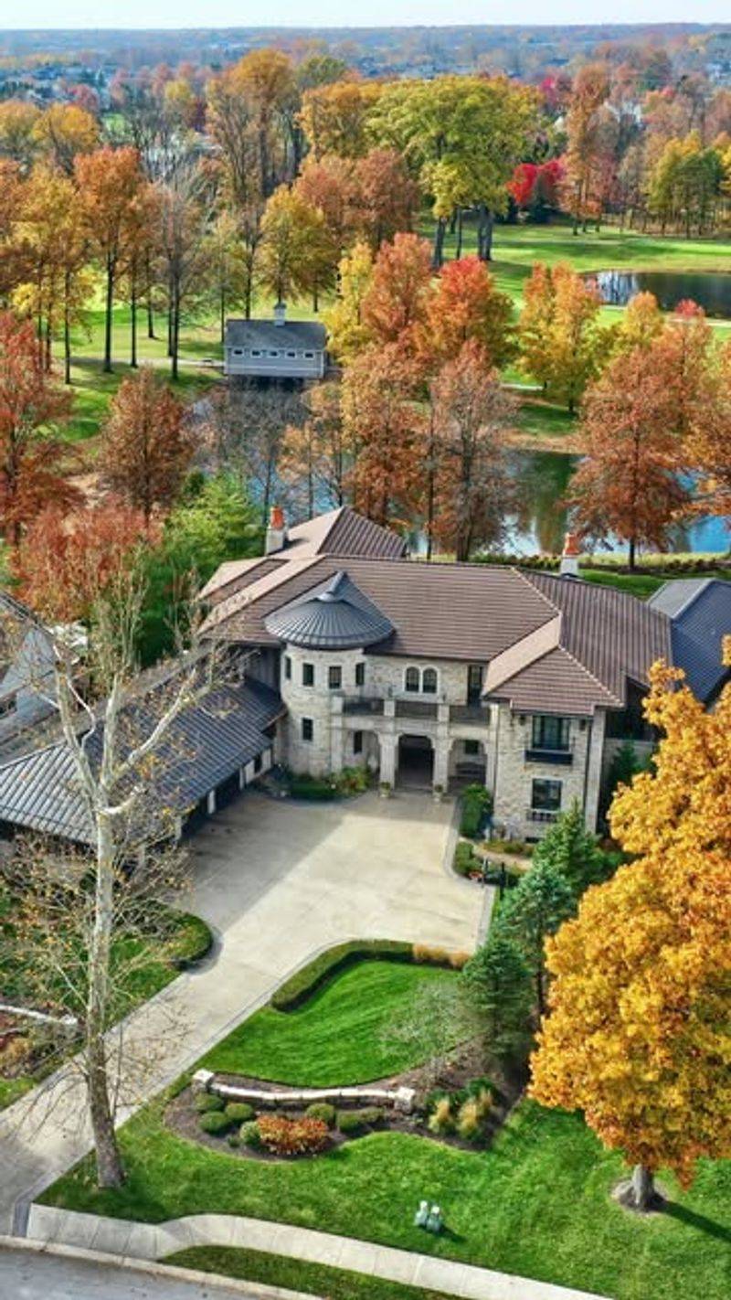 The Enchanted Estate