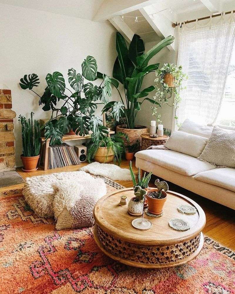 Indoor Plants and Greenery