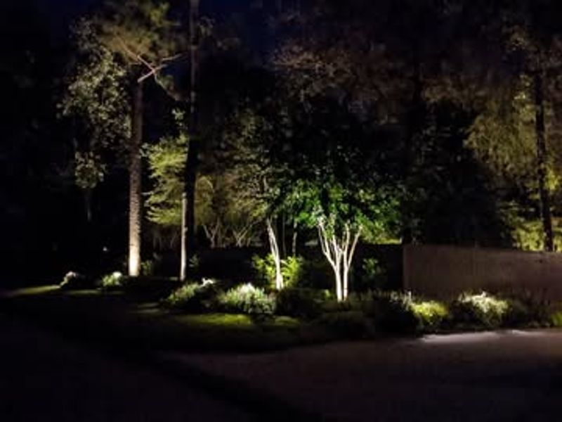 Hidden Garden Lights