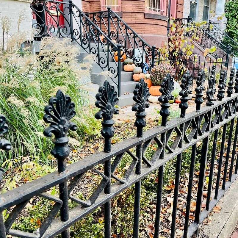 Cast Iron Fences