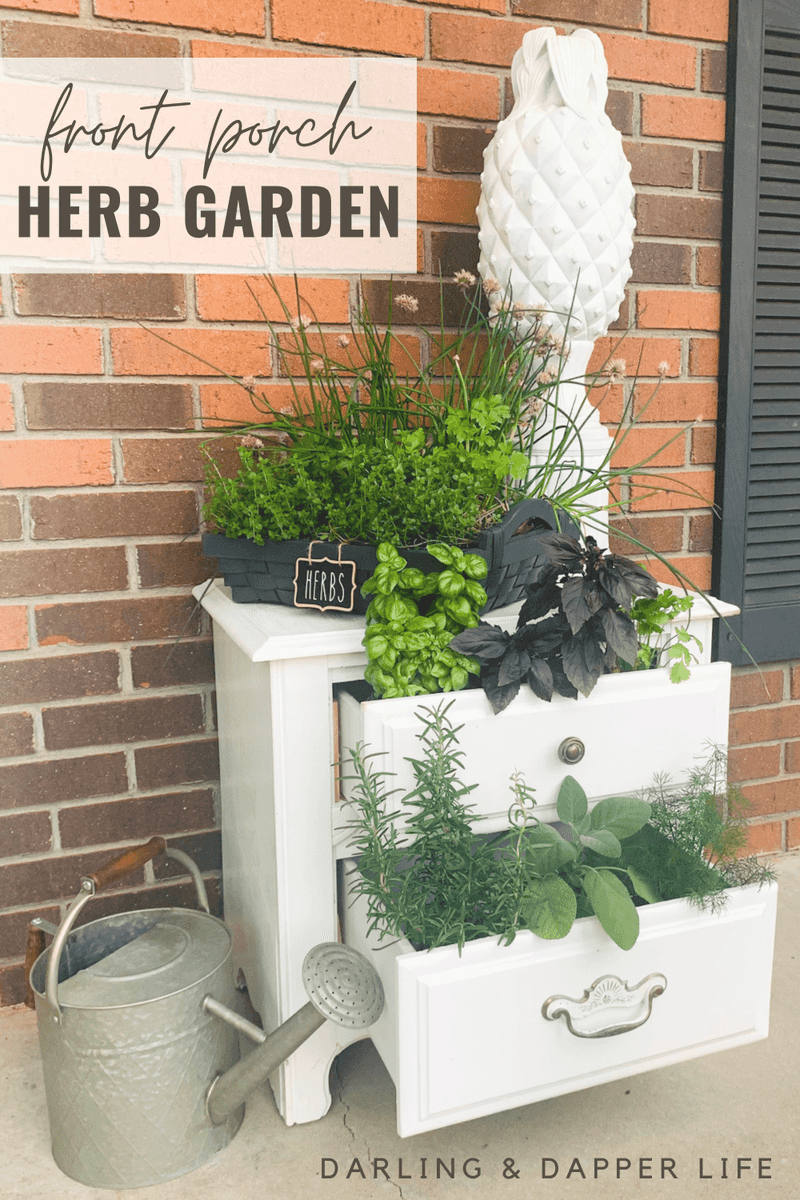 Herb Garden in a Vintage Drawer