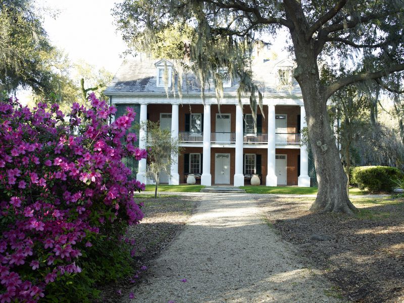 Shadows-on-the-Teche