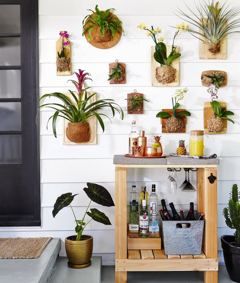 Hanging Plant Pots