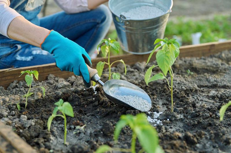 Using the Wrong Fertilizer