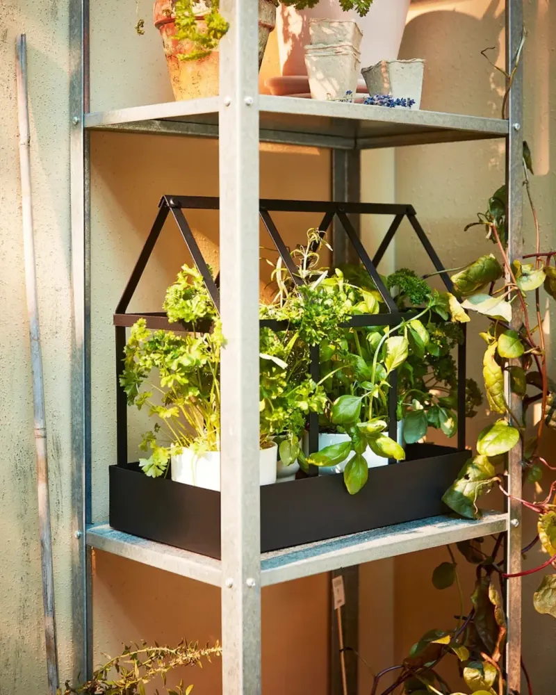 Balcony Garden Shelves