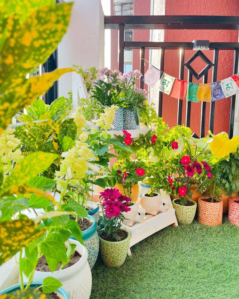 Potted Flowers