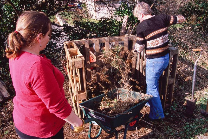 Creating a Compost Bin