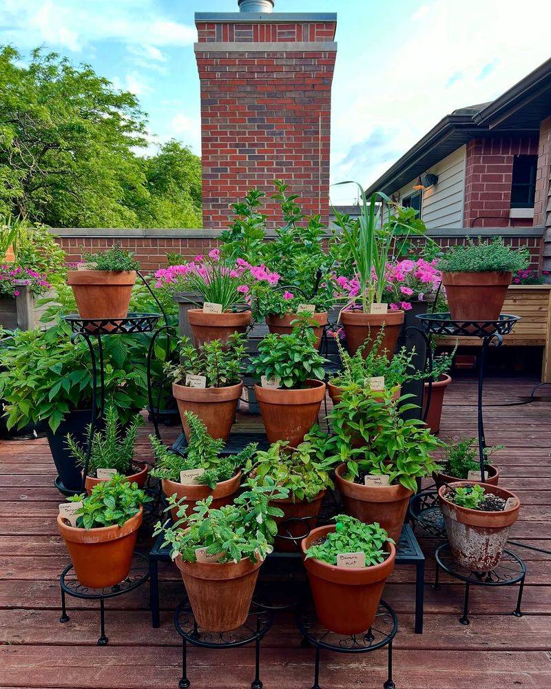 Improper Container Gardening