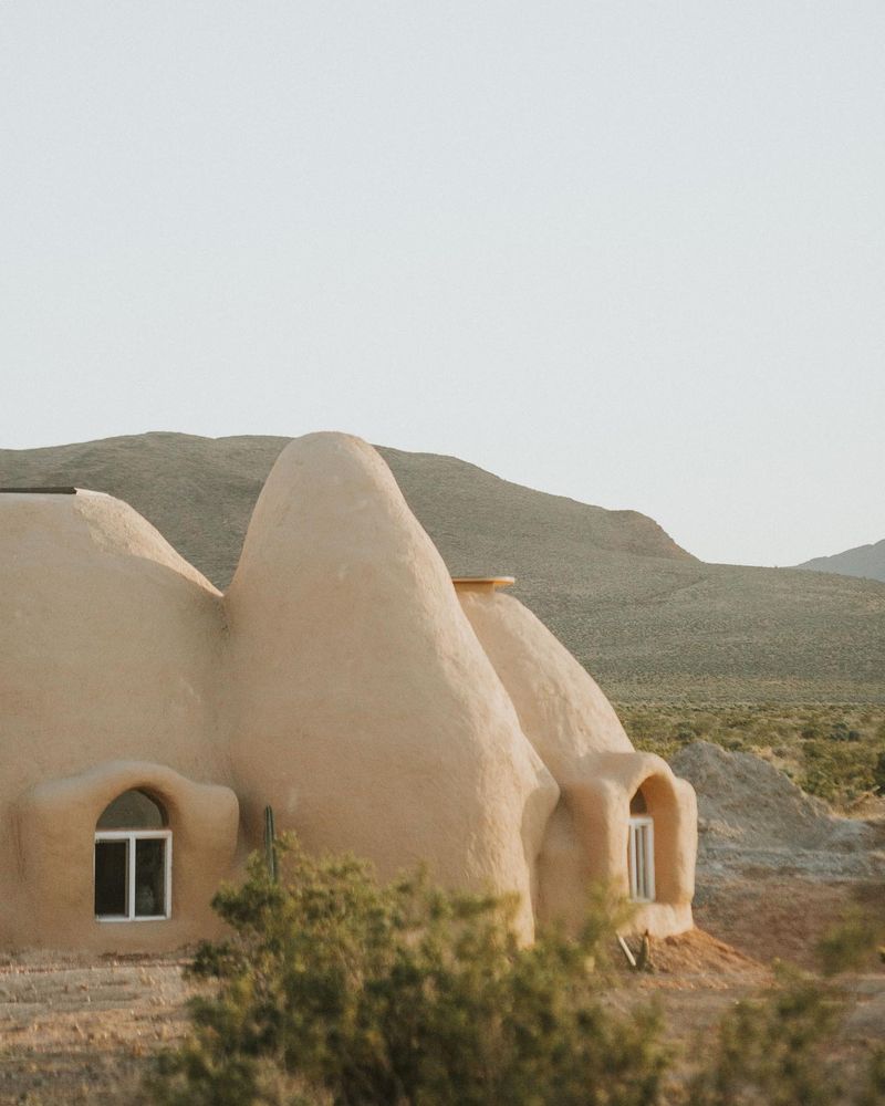 Desert Oasis