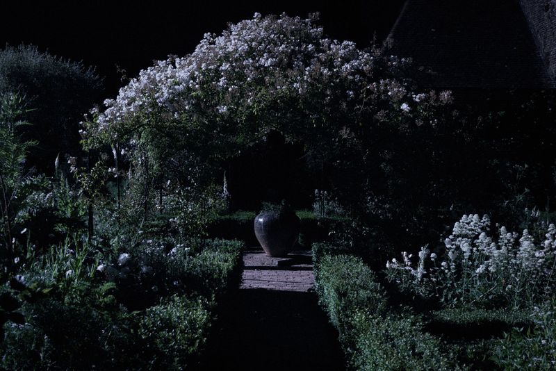 Moonlit Garden