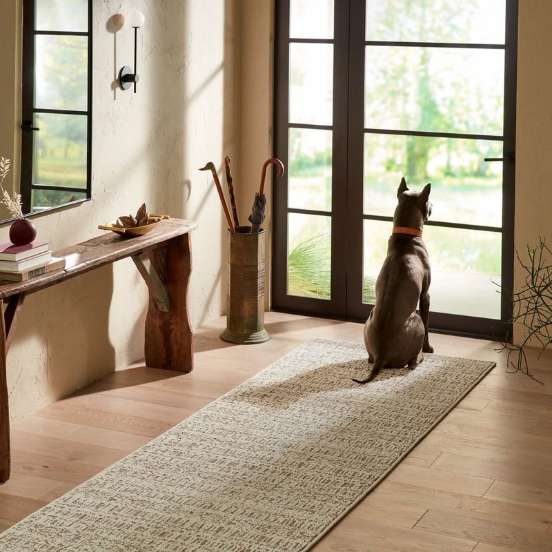 Sandy Beige Entryway