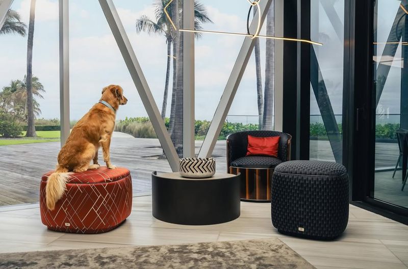 Luxury Pet Amenities