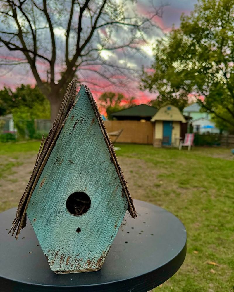 Broken Birdhouses