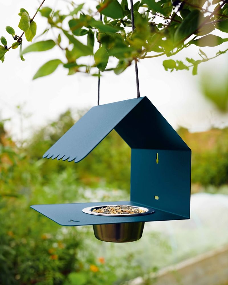 Bird Feeder