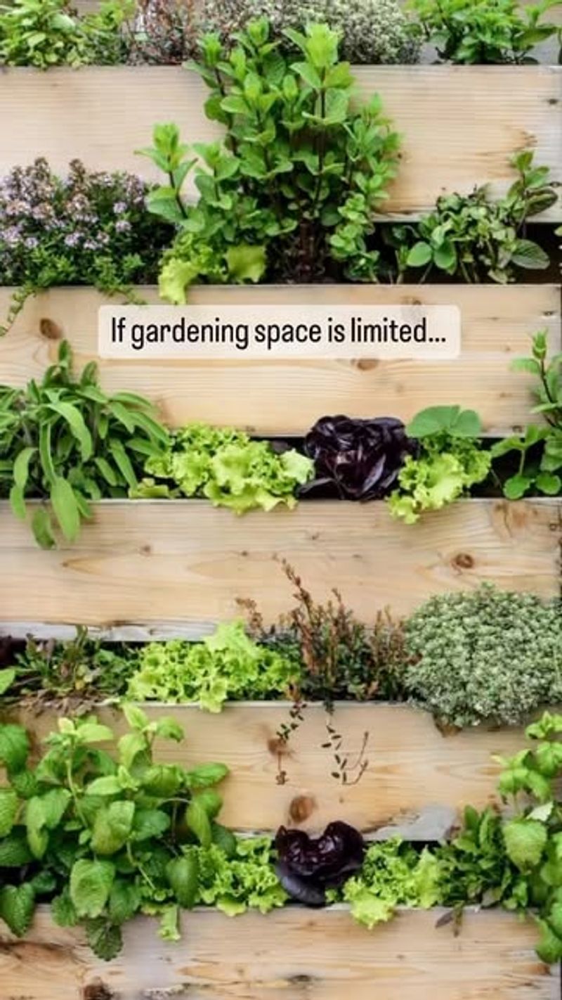 Vertical Herb Garden