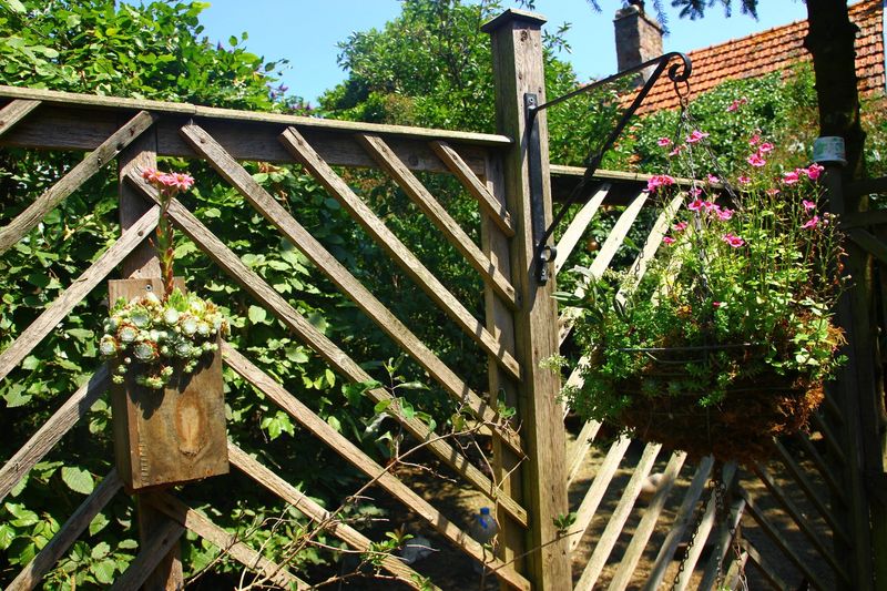 Pallet Garden Trellis