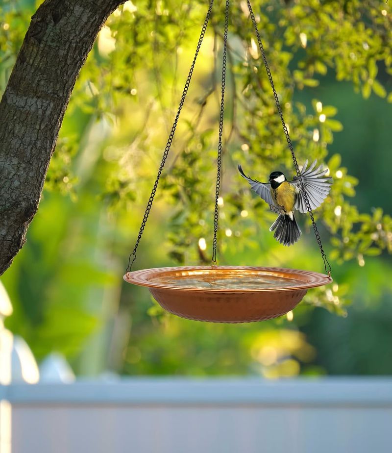 Decorative Bird Baths