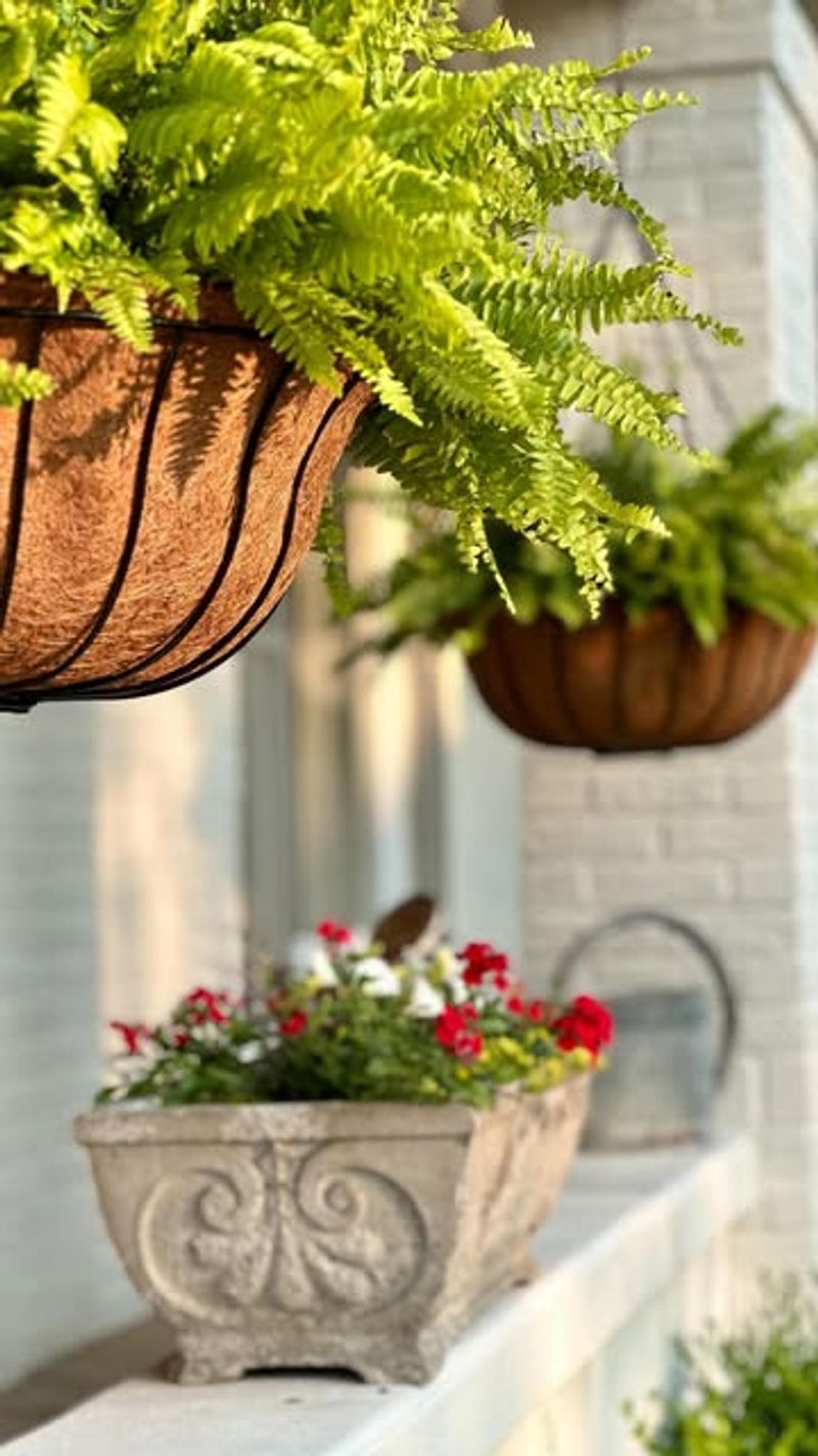 Hanging Planters