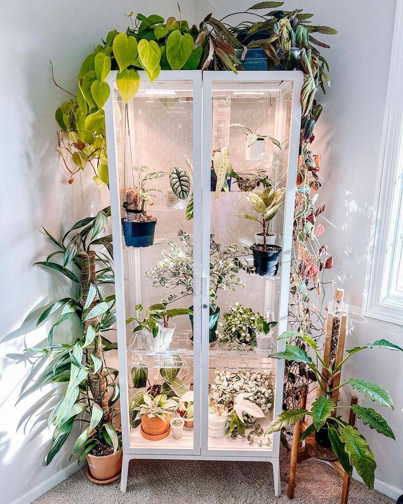 Greenery in the Home