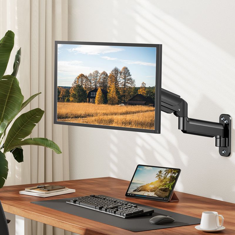 Wall-Mounted Monitors