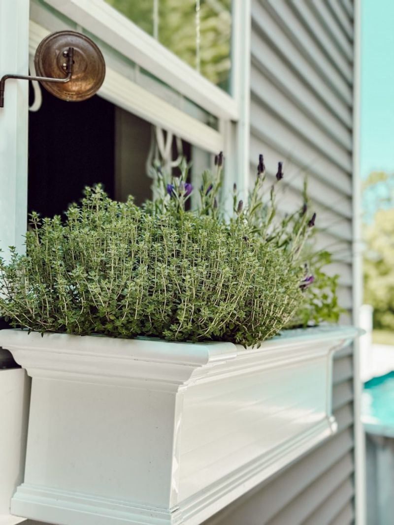 Potted Herb Gardens