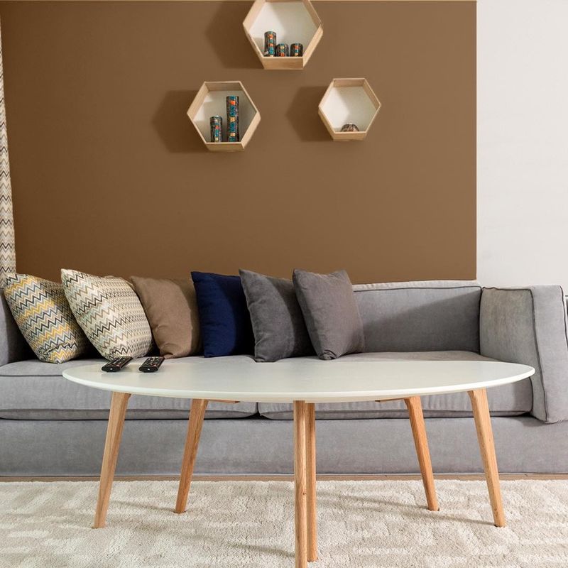 Charming Brown Accent Wall